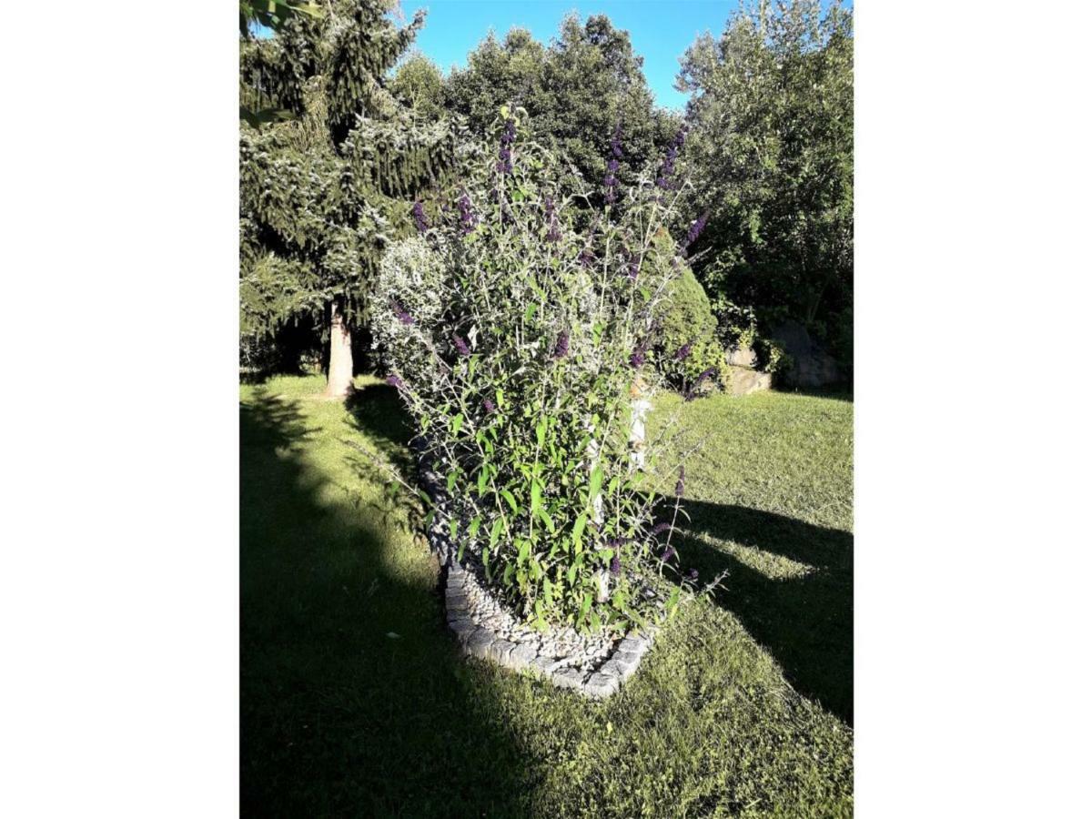 Gerda'S Ferienhaeuser Eppenschlag Εξωτερικό φωτογραφία